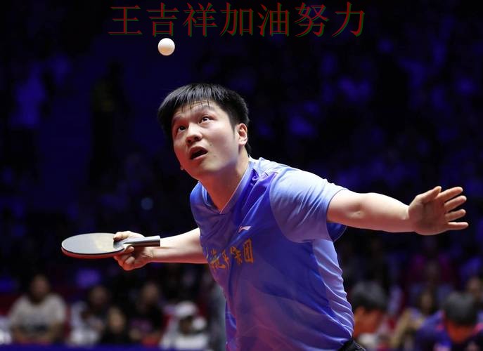 WTA巡回赛前瞻分析：樊振东表现抢眼 也让外界重新评估球队实力